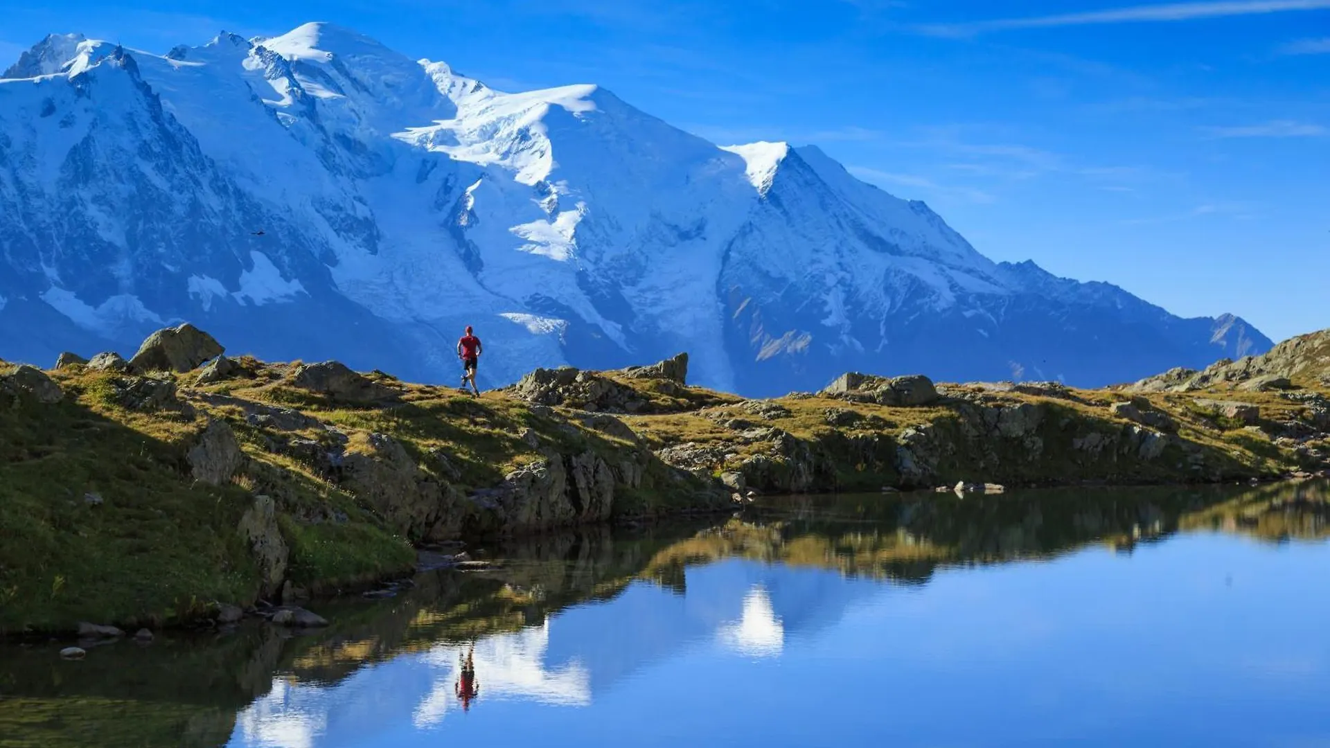 Lejlighed Studio De Balme - Happy Rentals Chamonix Frankrig